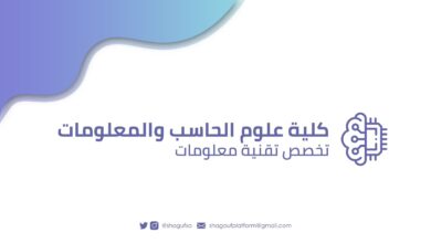 تقنية المعلومات