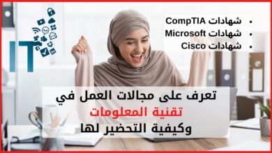 تقنية المعلومات