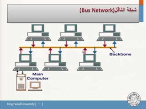 تقنية المعلومات