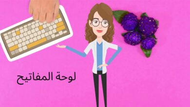 تقنية المعلومات