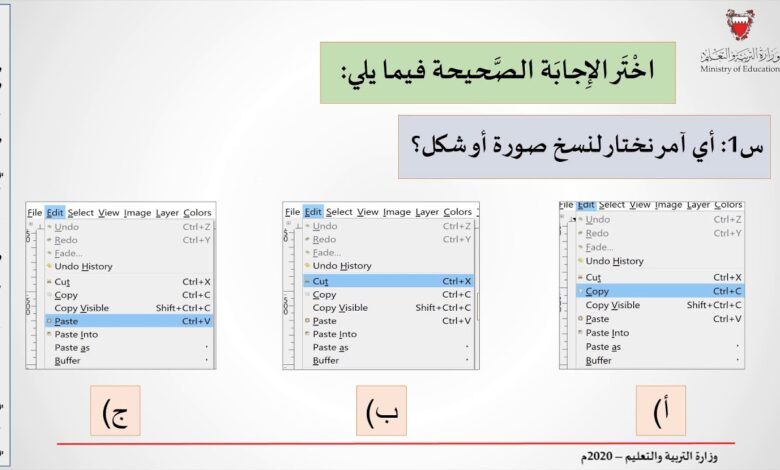 تقنية المعلومات