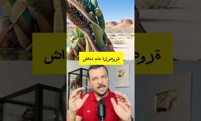 تقنية المعلومات